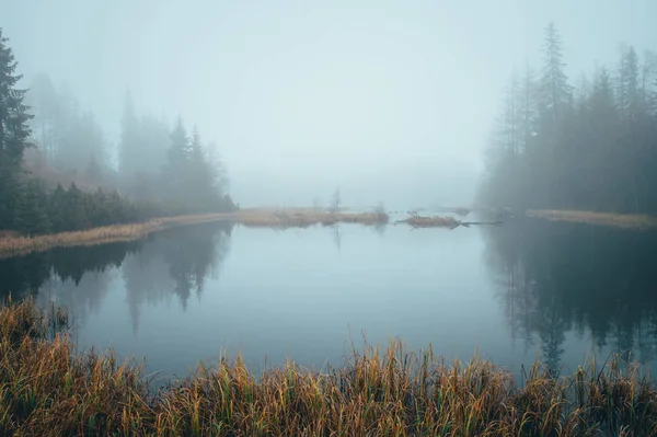 Туманное утро у осеннего озера, мирные пейзажи, белое пространство. — стоковое фото