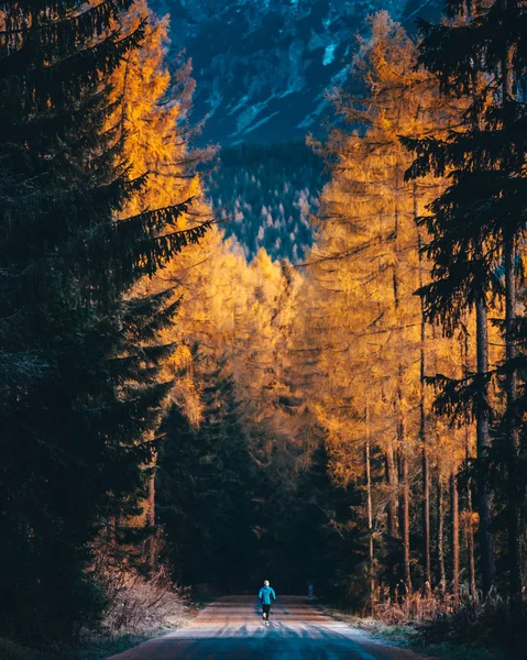Trail tren corredor en la naturaleza otoño. Altas montañas Tatras, Eslovaquia — Foto de Stock