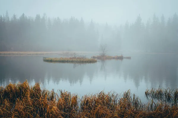 Brouillard matinal au bord du lac, papier peint naturel blanc — Photo