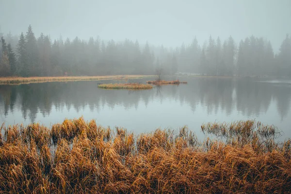 Осенняя природа, озеро в горах в дождевом тумане — стоковое фото