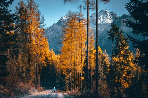 Mañana correr en otoño montañas naturaleza. Nieve en la colina y joven activo en el camino — Foto de Stock