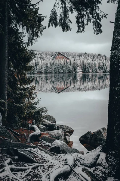 Vinter Strbske pleso, sjö i Slovakien, Höga Tatra. Vacker vit natur — Stockfoto
