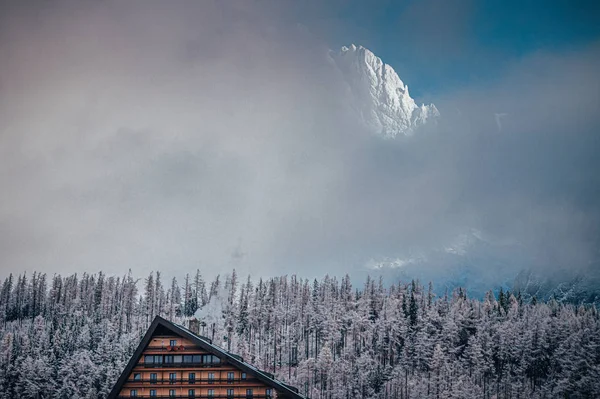 Bosque de invierno en los Cárpatos en el lago Strbske pleso — Foto de Stock