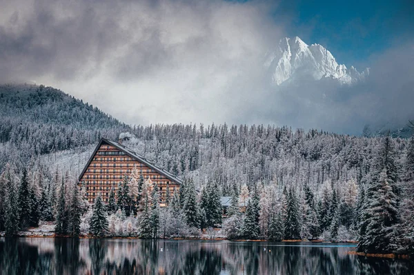 Winter forest in the Carpathians on Lake Strbske pleso — ストック写真