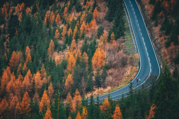 Two runners together on the road in autumn nature — ストック写真