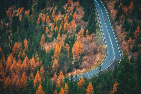 Trening biegowy w jesiennym kolorowym krajobrazie. Dwóch sportowców biegnie drogą w górach. — Zdjęcie stockowe