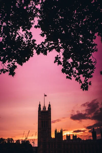 Pohled na dům parlamentu v létě večer, silueta fotografie, barevné sk. London Uk — Stock fotografie
