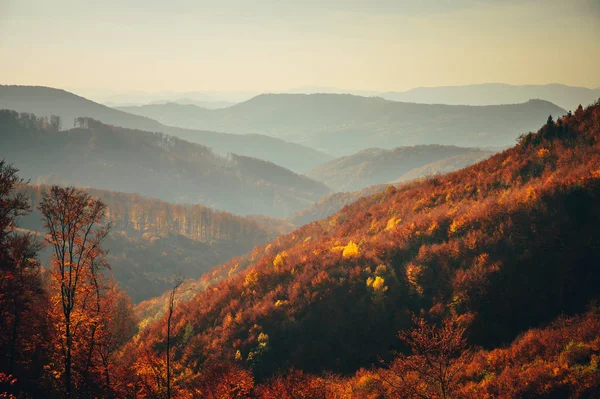 Colorido Outono Cárpatos montanhas. Papel de parede natural ou fundo — Fotografia de Stock