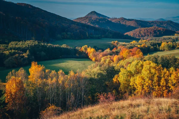 Красочный осенний пейзаж, зеленый луг, голубое небо, оранжевые и красные деревья — стоковое фото
