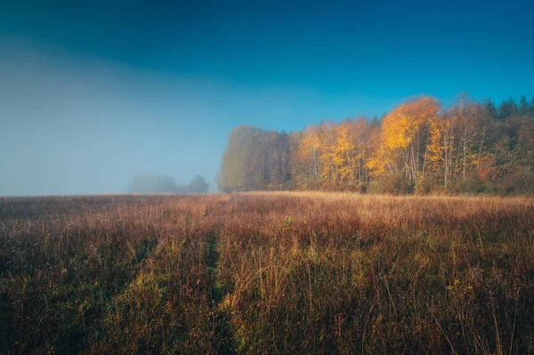 カラフルな秋の朝。霧や草原森や青空 — ストック写真