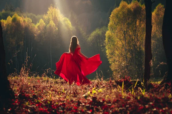 Mooi brunette meisje in een chic rood jurk poseren in de fee herfst bos. — Stockfoto