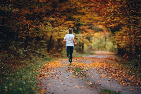 Runner treina na pitoresca natureza outono rodeado por floresta colorida . — Fotografia de Stock