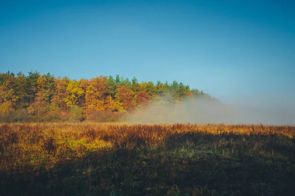 秋の朝の風景。カラフルな木と霧、インドの夏 — ストック写真