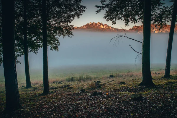 Sulovské skály v podzimní mlze, krásná příroda — Stock fotografie