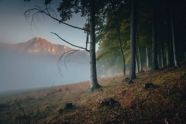 Sulovské skály v podzimní mlze, krásné přírodní scenérie, Slovensko — Stock fotografie