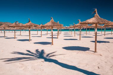 Cennet Sahili, güzel ve tropikal Karayip Sahili