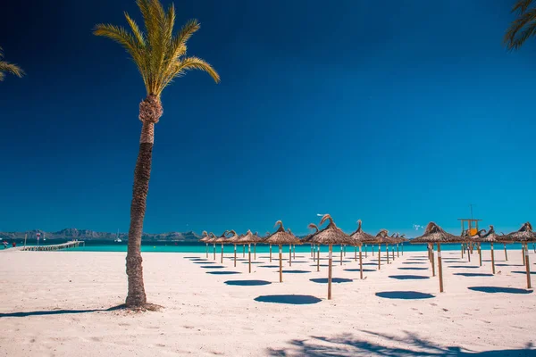 Letní dovolená na tropické pláži. Palmy, modrá obloha. Playa de Muro, Španělsko — Stock fotografie