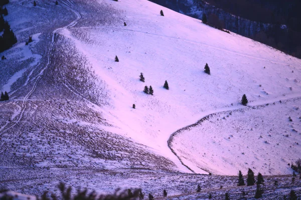 Prado coberto de neve, paisagem de inverno Fatra, Eslováquia — Fotografia de Stock