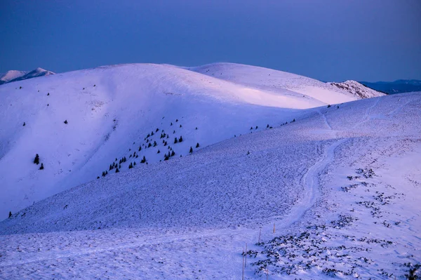 Modrá zima Karpatský hřeben, časné ranní světlo — Stock fotografie