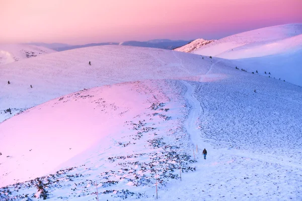 Turista a teplé měkké oranžové a růžové a fialové světlo východu slunce v zimních horách. Krásná vánoční pohlednice — Stock fotografie