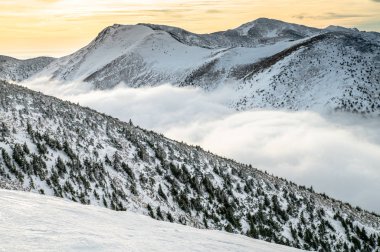 Dağlarda gün doğumu - ormanlarla, ağaçlarla ve çayırlarla dolu kış tepecikli manzara