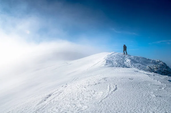 Escursionista a piedi da solo sul bordo delle montagne. Foto di alta qualità — Foto Stock