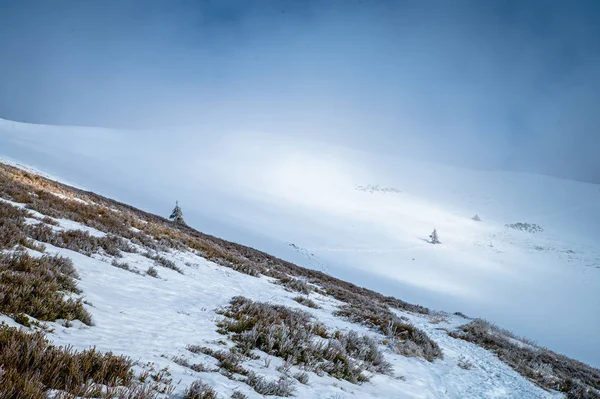 Mlhavý den v horách. Bílá zimní krajina, Upravit prostor — Stock fotografie