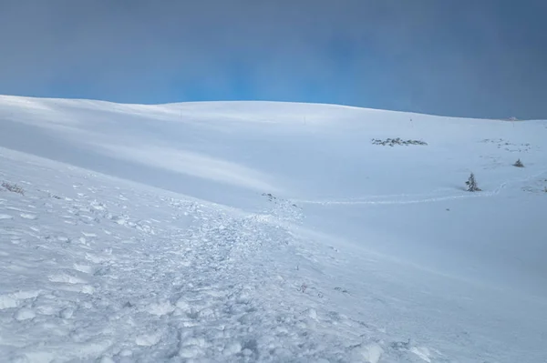 Montanhas montanhosas de inverno branco. Editar espaço. Foto de alta qualidade — Fotografia de Stock