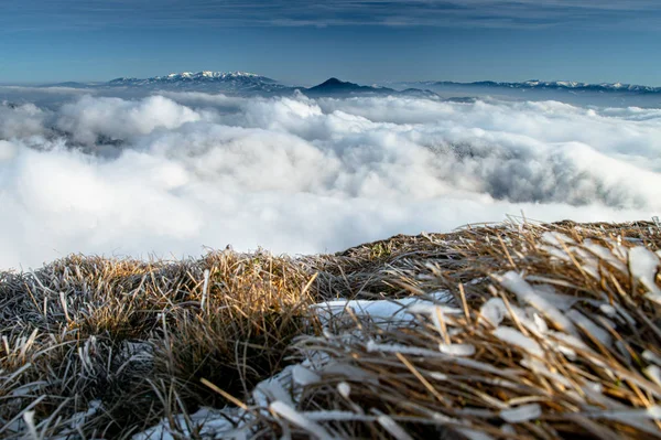 Zmrzlé louky, bílé zimní hory v pozadí. Fotografie vysoké kvality — Stock fotografie