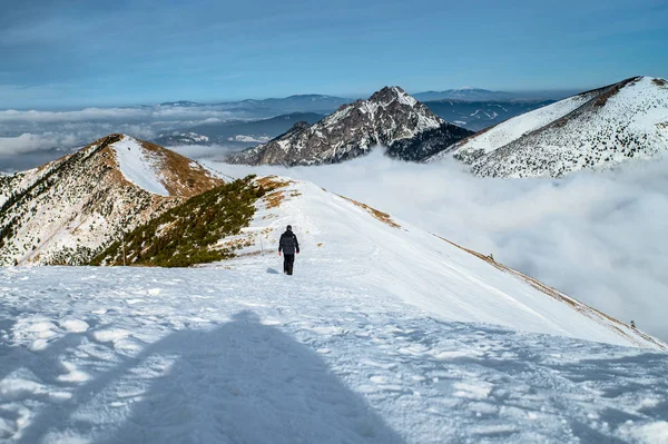 Turista v zimních horách, Kvalitní fotografie, Fatra na Slovensku — Stock fotografie