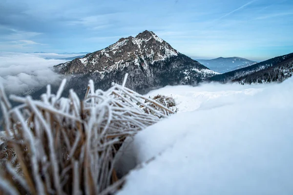 Zimní hory. Zmrzlé trávy, Skalnatý vrch v pozadí, Velký Rozsutec, Slovensko — Stock fotografie