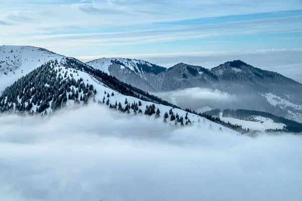 Blue winter background. Snow and mist in Carpathian Mountains — 스톡 사진