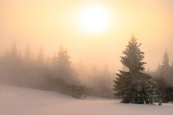 冬の霧の自然、オレンジの日の出の太陽、クリスマスの時間 — ストック写真
