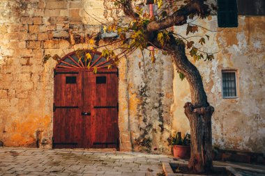 Eski Akdeniz Evi, zeytin ağacı, ahşap kapı