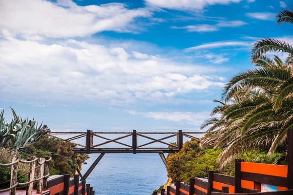 Wooden bridge in exotic landscape by the sea. Summer vacation photo
