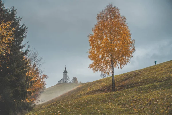 Árvore de outono perto pela Igreja de São Primus e Felician, Jamnik, Eslovênia — Fotografia de Stock