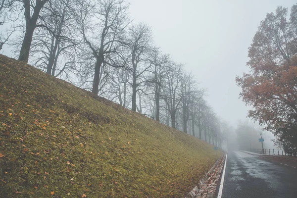 Callejón de árboles en niebla, mañana de otoño, camino en el entorno histórico de la ciudad vieja —  Fotos de Stock