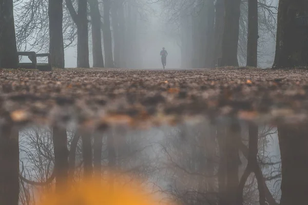 Алея осіннього парку туманний ранок. Чоловічий силует — стокове фото