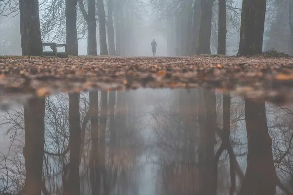 SIlhouette d'un homme courant sur une ruelle le long de la forêt dans — Photo