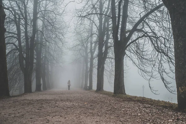 Seule femme marchant dans la ruelle d'automne brumeuse — Photo