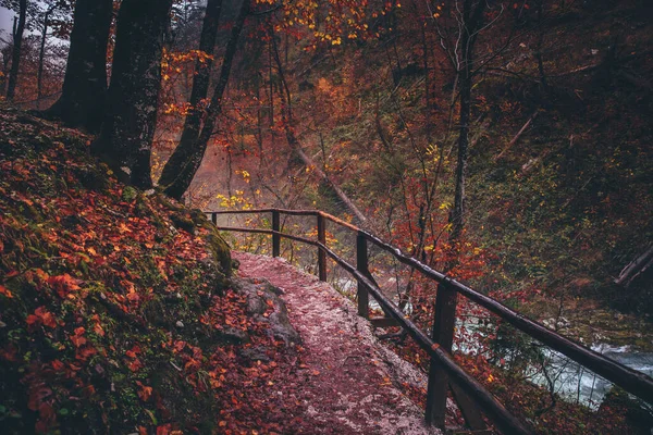 Colorful autumn landscape. Beautiful pathway The famous Vintgar gorge canyon with wooden path, beauty of nature, with river Radovna flowing through it. Triglav,Slovenia,Europe — Stock Photo, Image