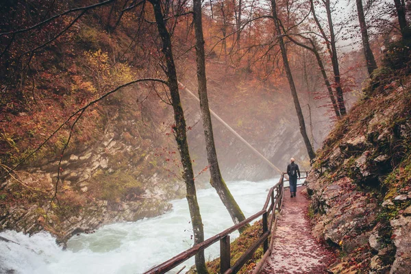 Autumn landscape. River flowing through colorful forest — Stock Photo, Image