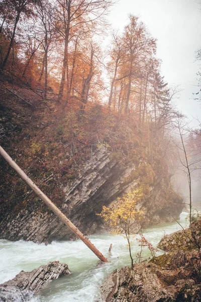 River in colorful misty rainy autumn nature — Stock Photo, Image