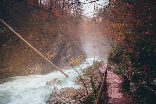 Vintgar gorge and wooden path,Bled,Slovenia — Stock Photo, Image