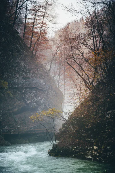 Autumn landscape.The famous Vintgar gorge canyon with wooden pats, beauty of nature, with river Radovna flowing through it, and the old bridge ,near Bled,Triglav,Slovenia,Europe — Stock Photo, Image