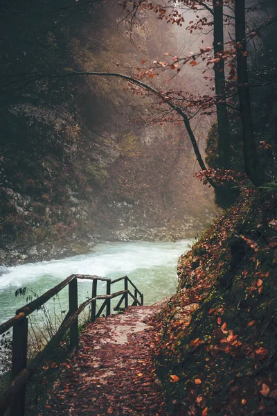 Autumn wooden path.The famous Vintgar gorge canyon with wooden pats, beauty of nature, with river Radovna flowing through. Triglav,Slovenia,Europe — Stock Photo, Image