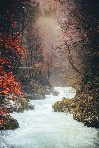 River in colorful autumn forest — Stock Photo, Image