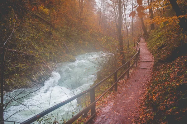 Krásná podzimní stezka u řeky. barevné podzimní scenérie. Vintgar, Slovinsko — Stock fotografie
