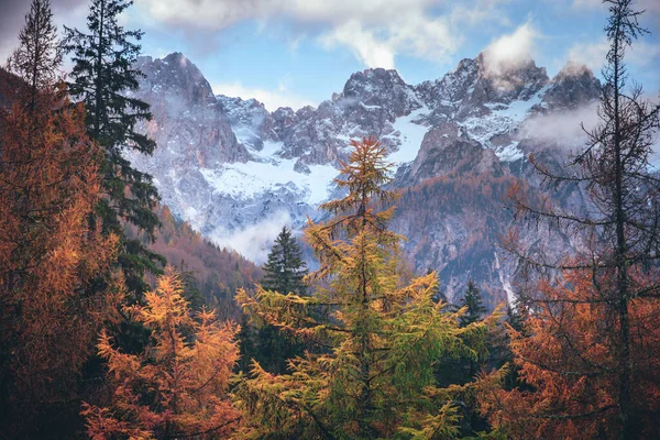 Autunno montagne rocciose. Alberi e natura selvaggia sullo sfondo — Foto Stock