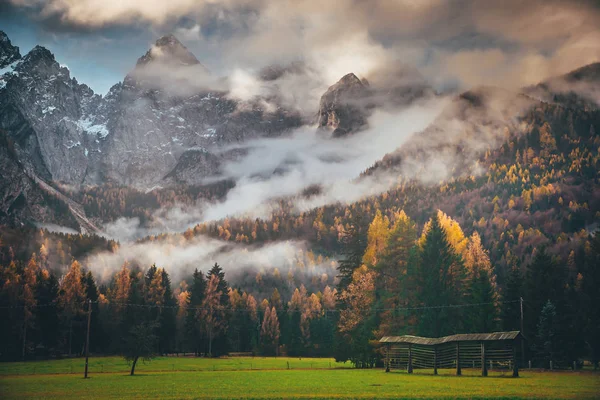 Yeşil çayır ve sonbahar dağları. Alpler — Stok fotoğraf